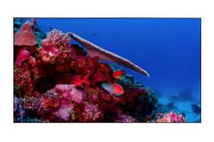  Фото видеостена 3x2 eliteboard 49" bb495fcbed - фото 3