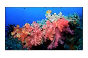  Фото видеостена 4x3 eliteboard 55" bb558fcbed - фото 3