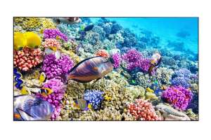  Фото видеостена 4x3 eliteboard 55" bk557ffle - фото 3