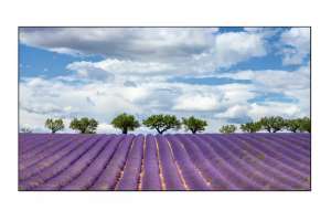  Фото видеостена 4x3 eliteboard 55" pk555fdln - фото 3