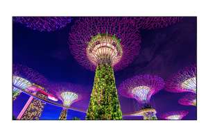  Фото видеостена 4x3 eliteboard 55" sk555fcln - фото 3