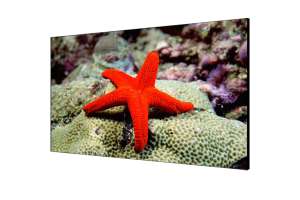  Фото видеостена 2x2 hikvision 46" ds-d2046lu-y - фото 3