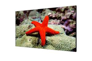  Фото видеостена 2x2 hikvision 55" ds-d2055hr-g - фото 3