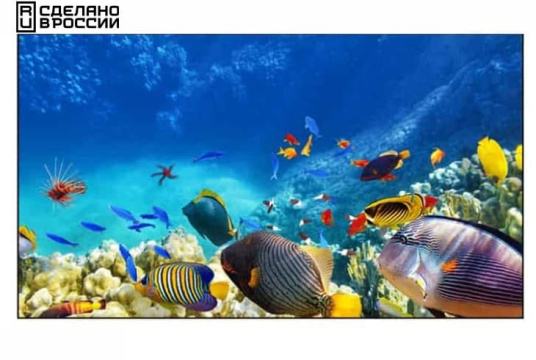 Изображение Панель для видеостен EliteBoard 55" BE-55F5