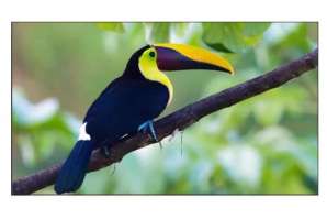  Фото видеостена 2x2 exell 55" expd-wa55ab35 - фото 3